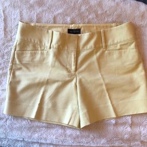 The Limited Shorts